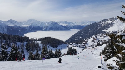 2016-02-17 10.44.44.jpg