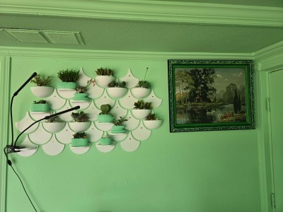 IMG_20250523_170925.jpg